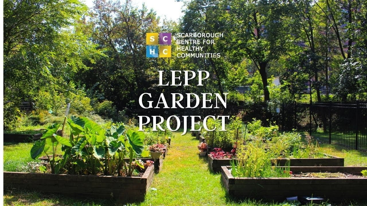 Scarborough Center for Healthy Communities LEPP Garden Project