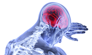 The SCHC IPPC Physical and Occupational Therapy Series on Understanding and Treating Chronic Pain