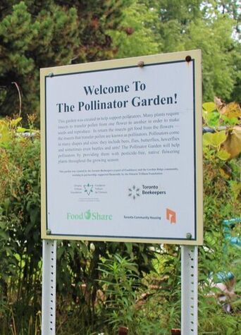 Welcome to pollinator garden