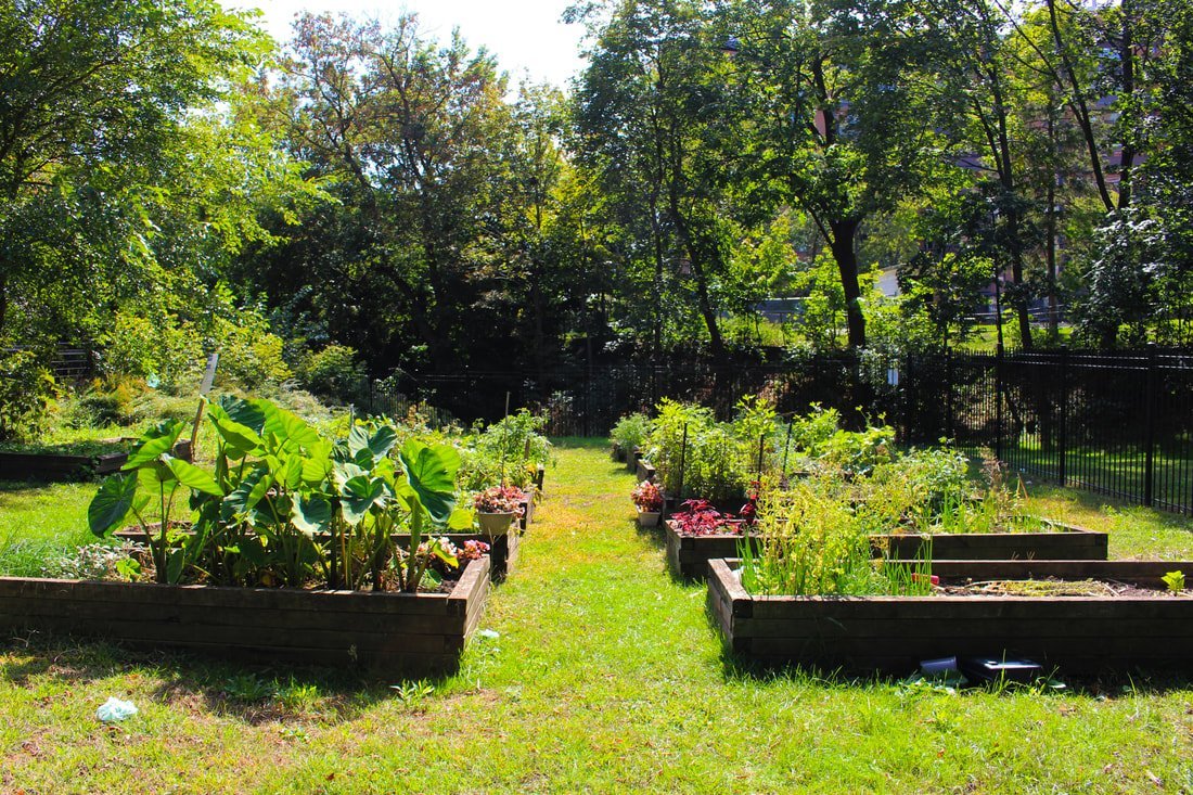 garden