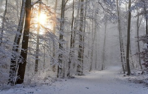 Winter Sun Safety: What You Need to Know About Protecting Your Skin in the Winter